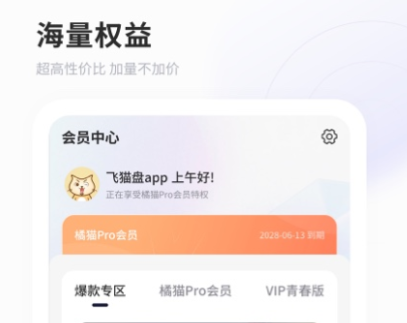 飞猫盘app破解版下载-飞猫云免费vip账号共享2024下载v4.00.19