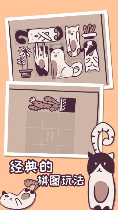 我的小猫贼好看游戏安卓版