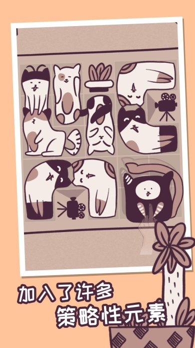 我的小猫贼好看游戏安卓版