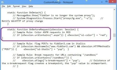 Fiddler吾爱安卓版下载-fiddler中文版免费安装下载V5.0.20204.45441