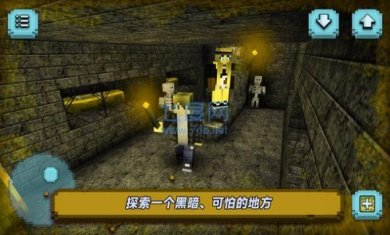 逃出像素岛游戏下载-逃出像素岛安卓汉化版下载v189.1.0.3018