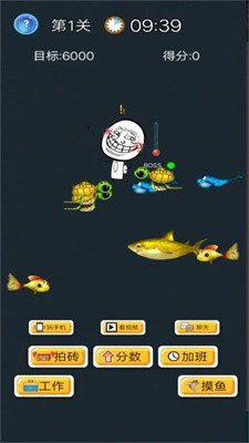 酱油仔的划水计划2023