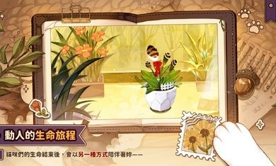 猫逝手游最新版