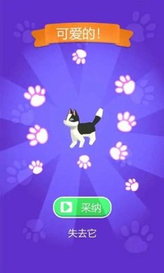 穿我的新衣最新版