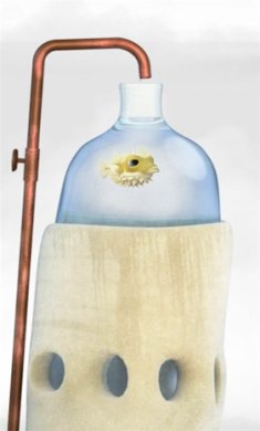 行走的老鲸鱼安卓版下载-行走的老鲸鱼游戏手机版下载v1.5.2