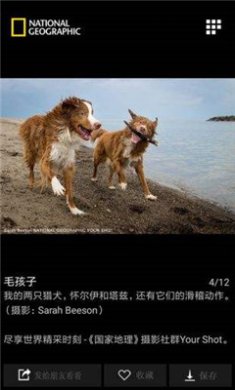 国家地理app下载-国家地理app免费版下载v2.6.0