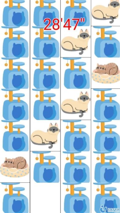 打猫猫安卓最新版