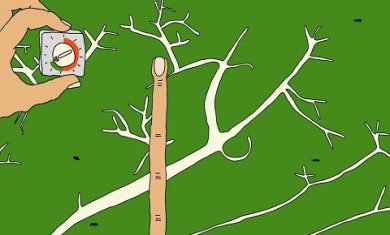 越南料理最新版下载-越南料理免广告版下载v1.0.0