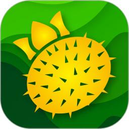 山王果原产最新版