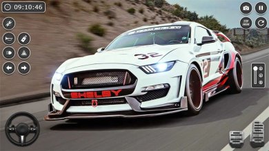 汽车驾驶和停车游戏无广告汉化版