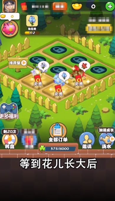 全民来养花红包版