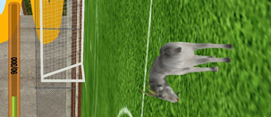 山羊的秘密下载-山羊的秘密正式版下载v1.0.1