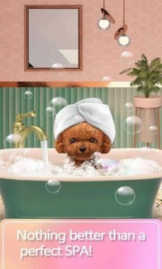 宠物化妆师手游官网