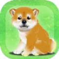 治愈的柴犬游戏