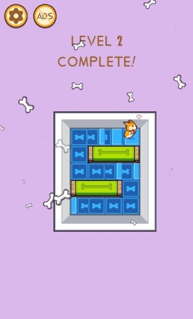 奔跑吧柯基最新版