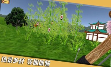 靶心射击游戏下载-靶心射击官网版下载v1.0.3