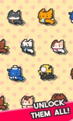 猫猫魔力桥最新版