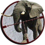 愤怒的野兽城袭击安卓版