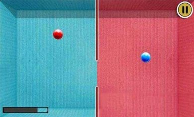 小球盒子安卓版