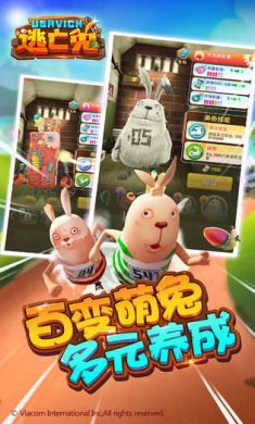 31f361df53ec49399b8c08046b99a636