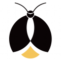 赢火虫APP