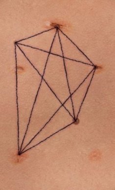 盛开的歌下载-盛开的歌安卓版下载v1.01