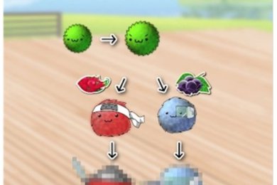 MarimoDungeon2下载-MarimoDungeon2手机版下载v1.1.4