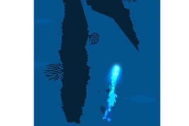 点亮大海下载-点亮大海安卓版下载v1.36