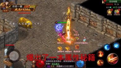 龙卫传说版本下载-龙卫传说官网下载v1.0.0