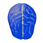 逻辑测试下载最新版