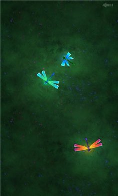 给宠物玩的触屏游戏