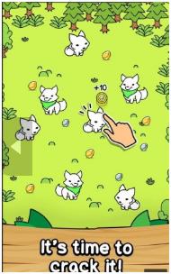 狐狸进化乐园安卓版