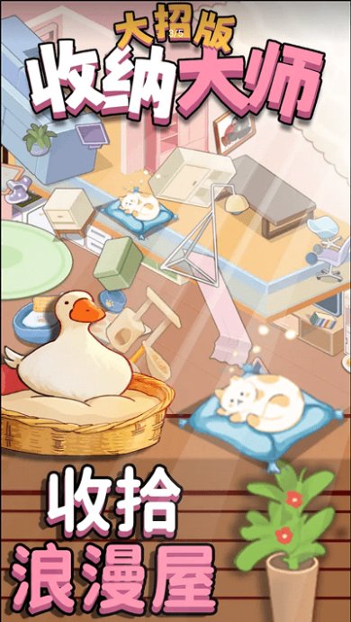 收纳大师大招版游戏最新版