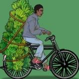 奥德彪逆袭记最新