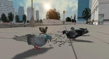 鸽子生存模拟器下载-鸽子生存模拟器安卓版下载v1.0.0