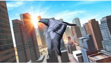 鸽子生存模拟器下载-鸽子生存模拟器安卓版下载v1.0.0