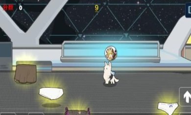 艾丝妲的狗官方正版