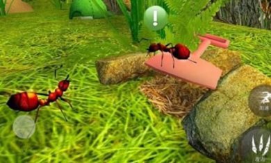 昆虫捣蛋模拟安卓下载-昆虫捣蛋模拟官方正版下载v1.0