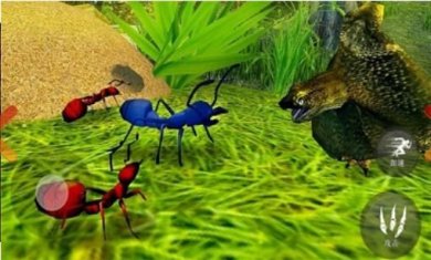 昆虫捣蛋模拟安卓下载-昆虫捣蛋模拟官方正版下载v1.0