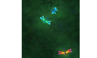 peppycat免费下载下载-PeppyCat官方下载英文版下载v8.1.2