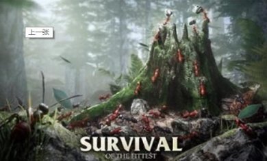 蚂蚁军团安卓下载-蚂蚁军团畅玩版下载v7.1.107