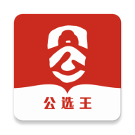 公选王遴选中文版