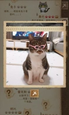 猫咪和秘密森林下载-猫咪和秘密森林安卓版下载v1.8.13