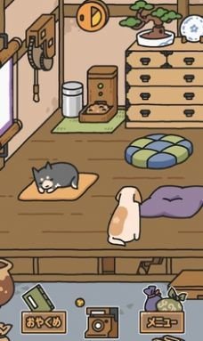 imwprobot-3f36821abd1e3008bf8aaa2126ede1e7