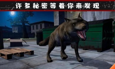 21124626082a8g3HAGYsmlVo7xa