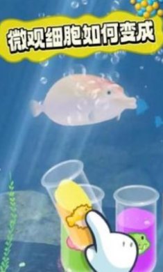 生命进化官方版下载-生命进化游戏下载v0.1