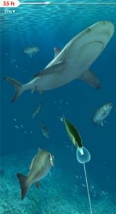 职业钓鱼2023手机版下载-职业钓鱼2023安卓版下载v1.6.5