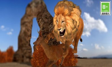 荒野动物狮子模拟安卓