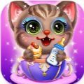 可爱宠物护理屋最新版