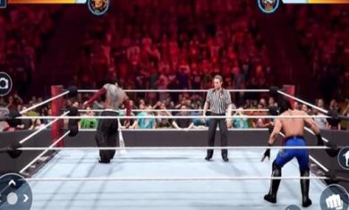 真实摔跤官方版